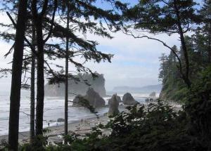 Anthony Foster - Daddy Tanner, USA