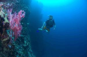 Anthony Howland - Daddy Calgary, Canada