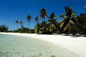 USA Daddies Earnest Schreiner - Daddy Salt Lake City, USA