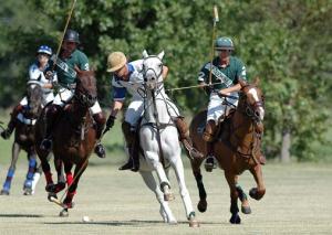 Harry Adams - Daddy Sheffield, United Kingdom