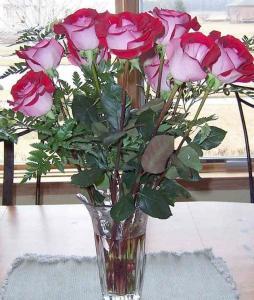 United Kingdom Daddies Joshua Jones - Daddy Leicester, United Kingdom