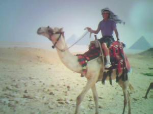 Kevin Sample - Daddy Glasgow, United Kingdom