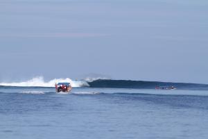 USA Daddies William Mauldin - Daddy New York City, USA